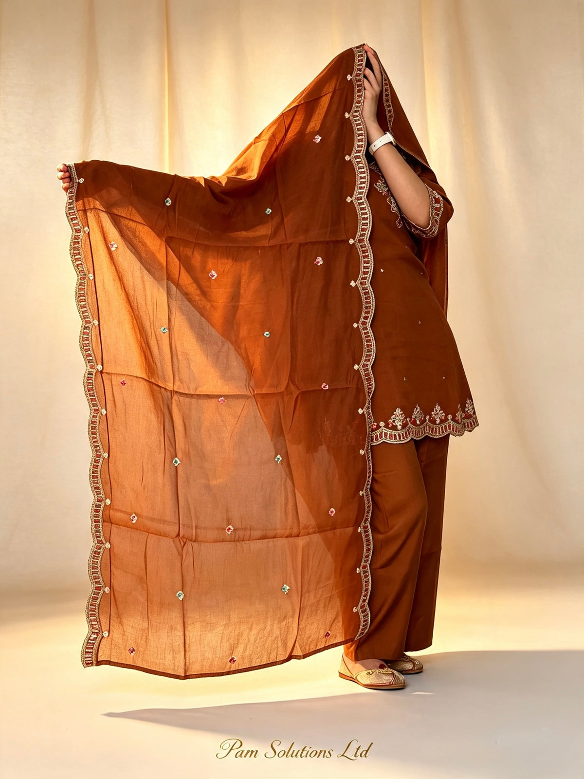 🤎 Rust Brown Embroidered Punjabi Suit