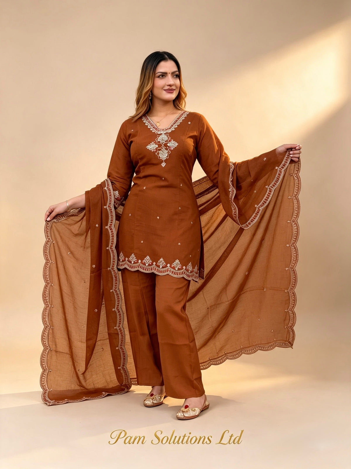 🤎 Rust Brown Embroidered Punjabi Suit