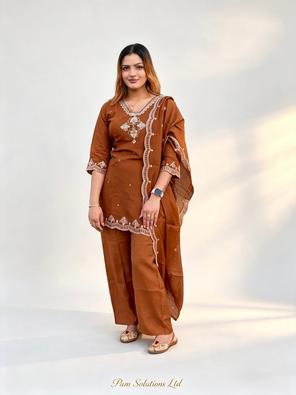 🤎 Rust Brown Embroidered Punjabi Suit
